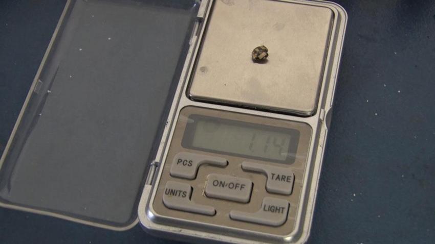 Altın avcısı Türkiye'nin derelerinden her gün 5 gram altın çıkarıyor