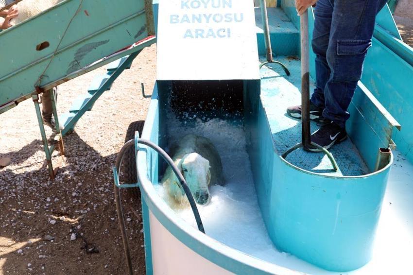 Talas Belediyesi'nden üreticiye destek: Kene ve parazitlere karşı yerinde çözüm!