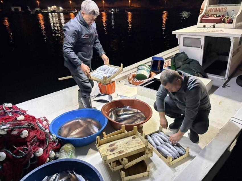Kıyıköy'de palamut bolluğu balıkçıların yüzünü güldürdü: Gece gündüz denize mesai!