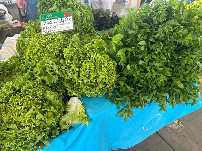 Kayseri'de 30 aile 4 ayda ekonomiye 7 milyon TL katkı sağlıyor: 'Organik ürün pahalı algısını yıkmak istiyoruz'