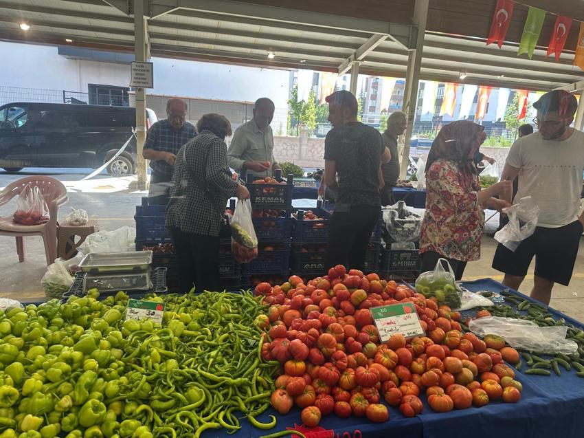 Kayseri'de 30 aile 4 ayda ekonomiye 7 milyon TL katkı sağlıyor: 'Organik ürün pahalı algısını yıkmak istiyoruz'