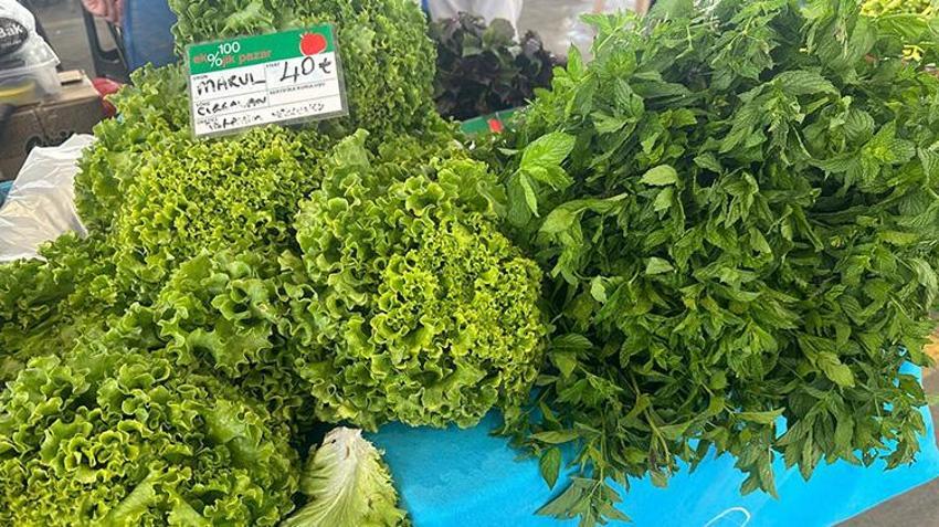 Dört duvar arasından çıktı, hayatı değişti: Kayseri'de anadolu'nun tek sezonluk organik pazarı ilgi görüyor!