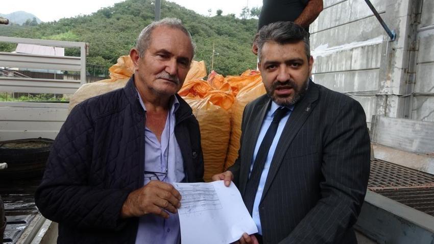 Giresun fındığında TMO alım fiyatı randıman farkıyla belli oldu
