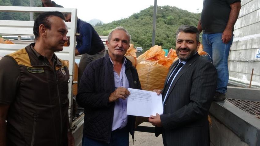 Giresun fındığında TMO alım fiyatı randıman farkıyla belli oldu