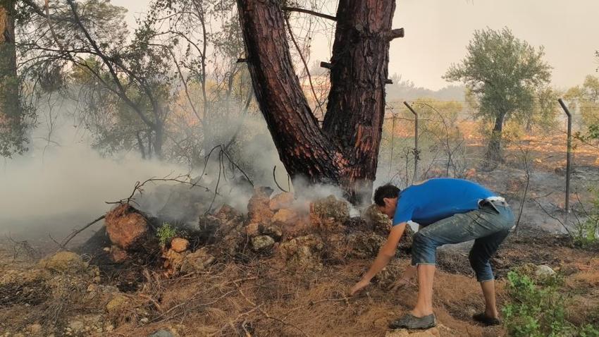 Antalya ve Adana'da orman yangını! Yüzlerce kişi tahliye edildi