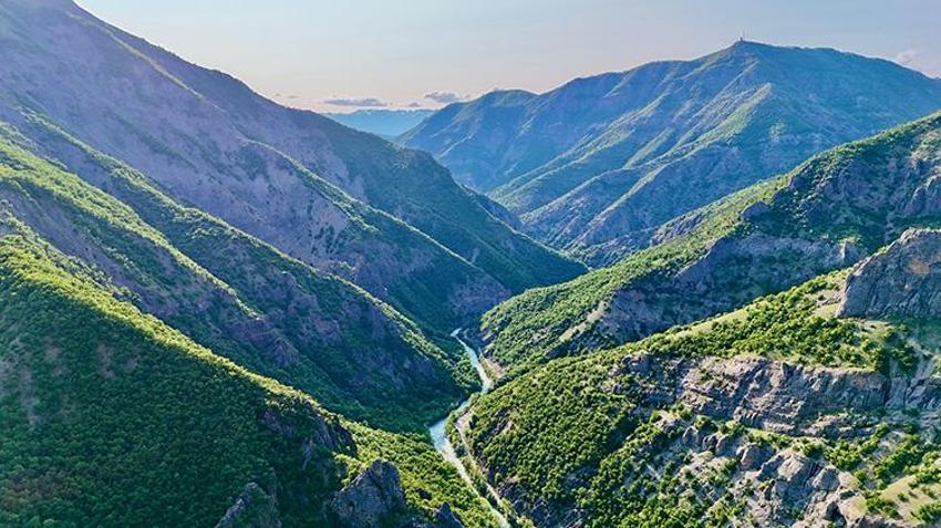 Tunceli dağ sarımsağını izinsiz toplayan 3 kişiye rekor ceza!