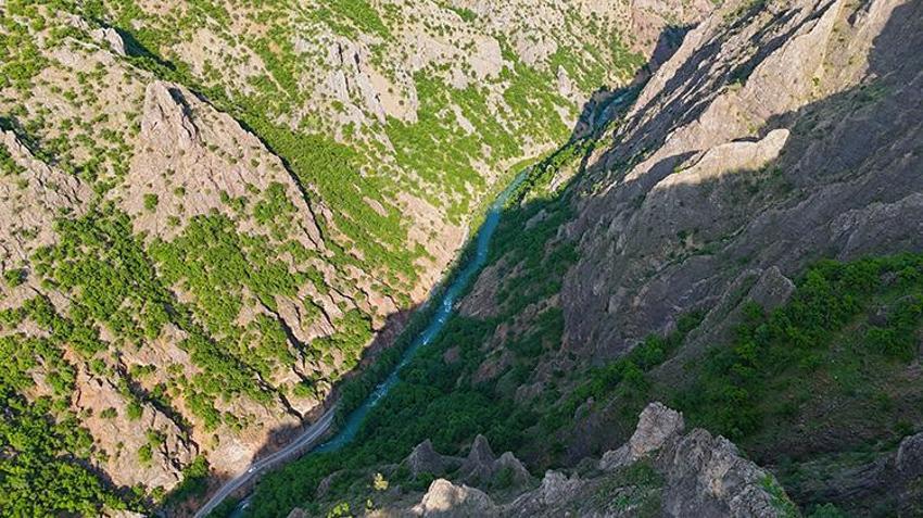 Tunceli dağ sarımsağını izinsiz toplayan 3 kişiye rekor ceza!