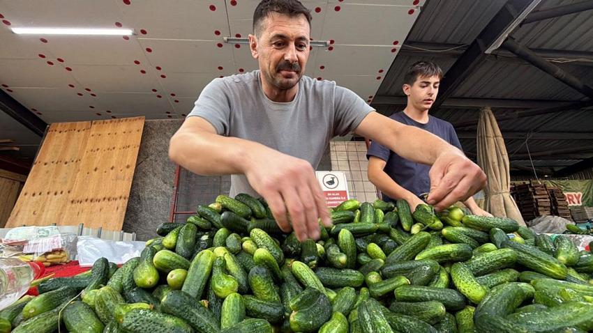 Dededen babaya, babadan oğula 3 kuşak devam eden pazarcılık geleneği
