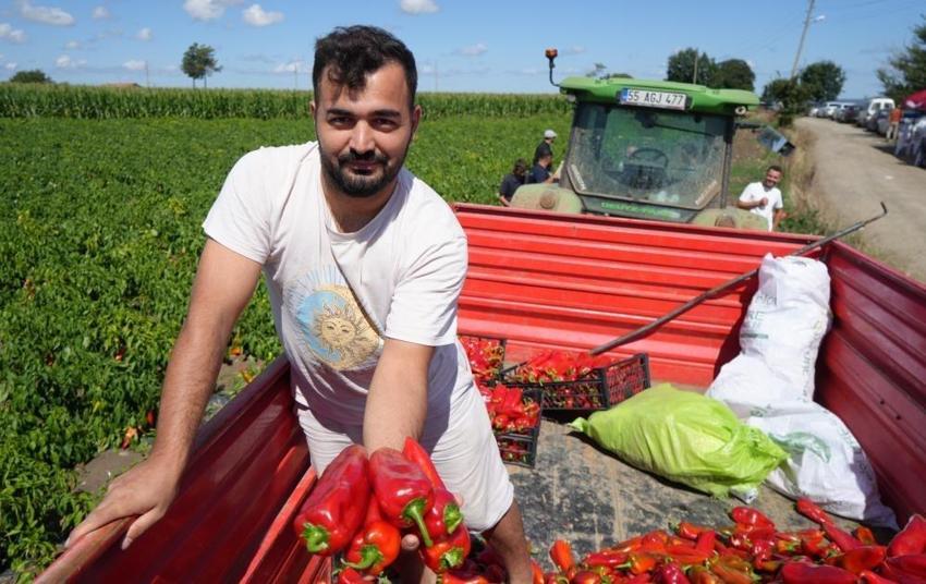 Samsun toprağı aldığını 120 bin tonla geri verdi: Çiftçinin ürettiği 4 milyar TL oldu