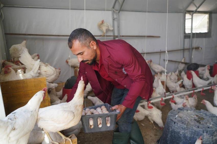 Adıyaman'da belediye üretti, vatandaş ucuza aldı! Ekmekten sebzeye binlerce ürün sofralara ulaştı