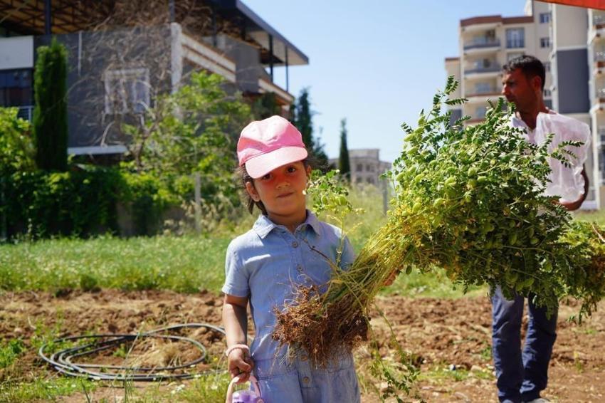 Adıyaman'da belediye üretti, vatandaş ucuza aldı! Ekmekten sebzeye binlerce ürün sofralara ulaştı