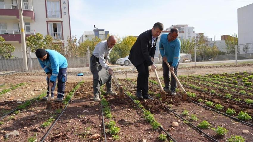 Adıyaman'da belediye üretti, vatandaş ucuza aldı! Ekmekten sebzeye binlerce ürün sofralara ulaştı