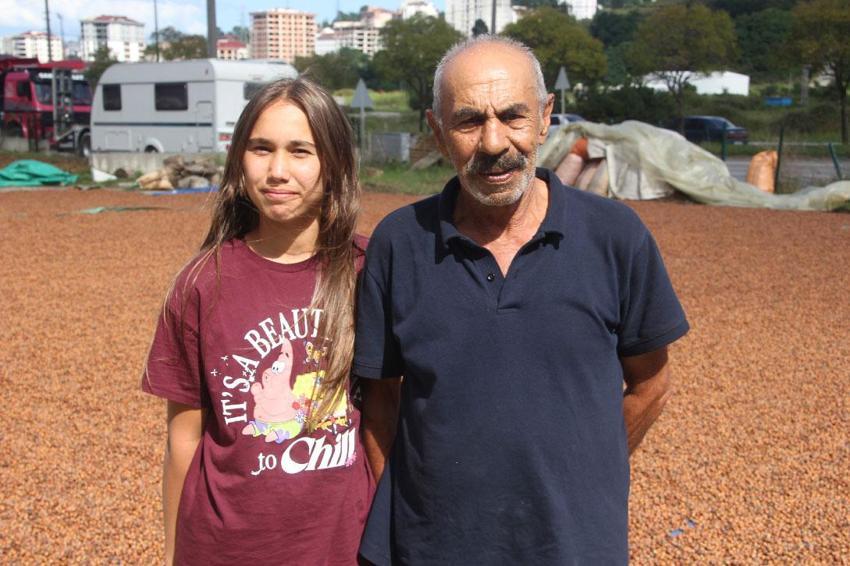 Yüksek kesimlerde yetişiyor sahilde işleniyor! Fındıkta zorlu kurutma mesaisi sürüyor