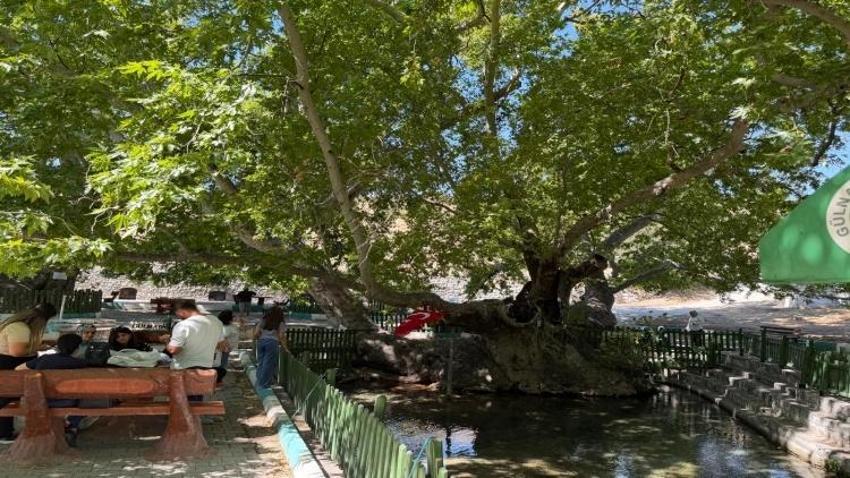 İç Anadolu'dan Akdeniz'e inmenin kapısı: Zeyne, 720 yıllık sırrı barındırıyor