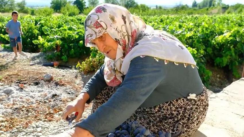 Gençlere taş çıkartan 75 yaşındaki Güldursun teyzenin ilham veren cimin mesaisi