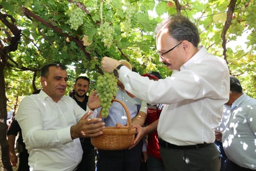 Siirt’te yetiştiriliyor, Avusturya’ya gidiyor! 7 kadın girişimci başardı: Hedef ilk 5
