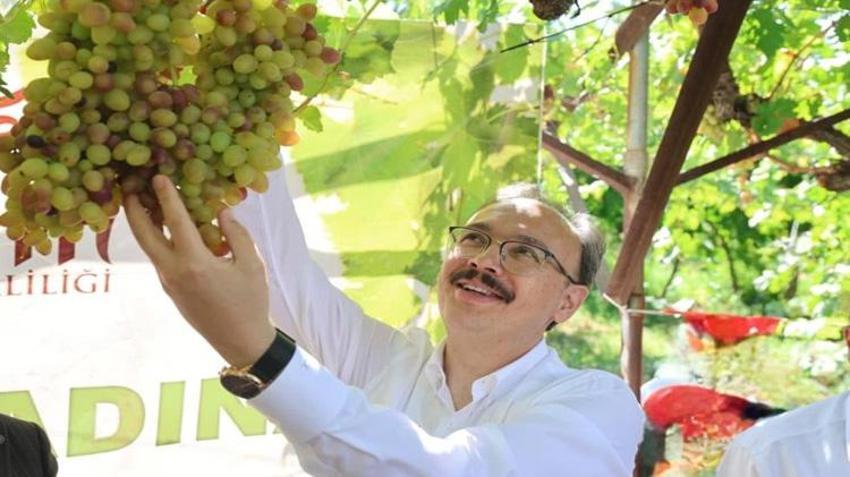 Siirt’te yetiştiriliyor, Avusturya’ya gidiyor! 7 kadın girişimci başardı: Hedef ilk 5