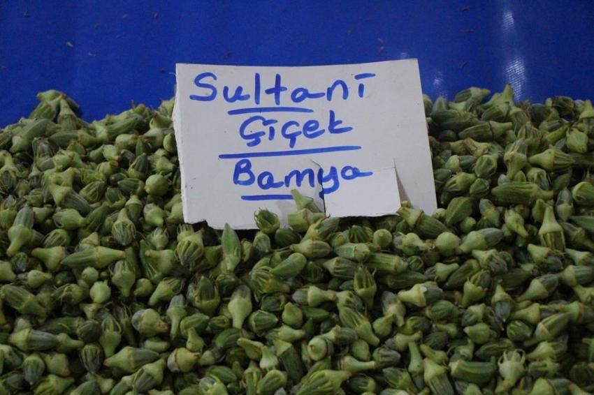 Ancak gramla alınabiliyor: Kıymetini sadece kadınlar biliyor, 2 bin 500 ton üretimi var