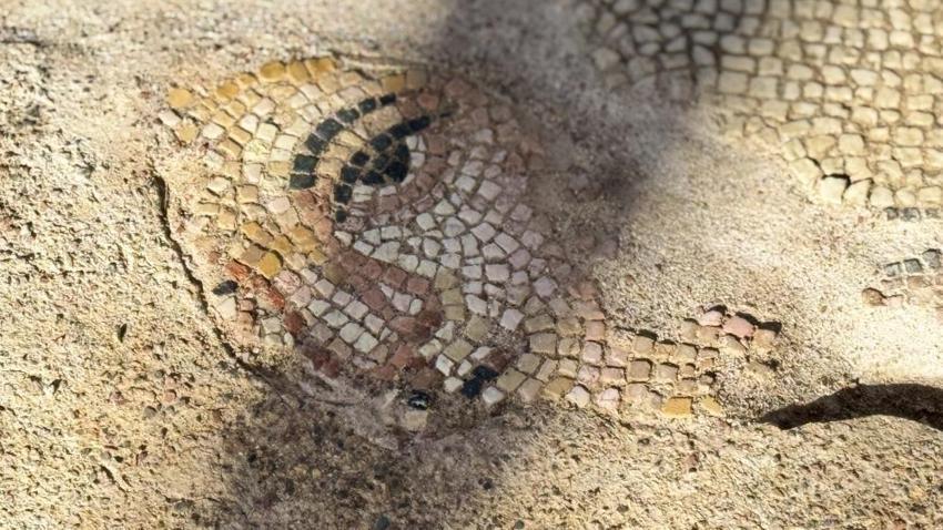 1600 yıllık sarayda Karadeniz'in en baskın özelliği var! İşaret konuldu