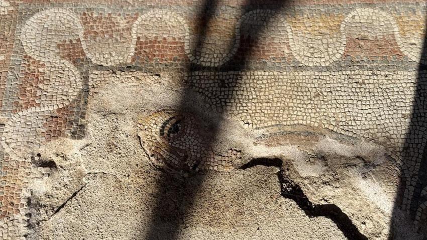 1600 yıllık sarayda Karadeniz'in en baskın özelliği var! İşaret konuldu