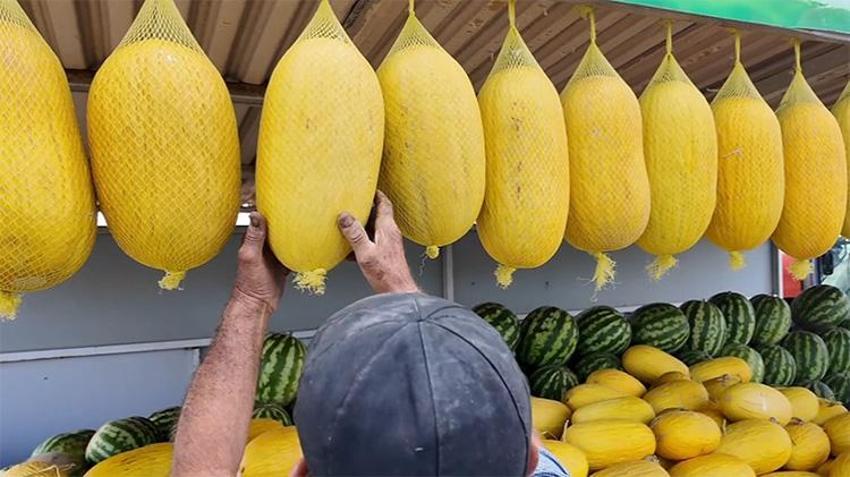 Sıfır sulama yapılıyor: Aroması susuzluğunda gizli! Bekledikçe güzelleşiyor, asıldıkça lezzetleniyor