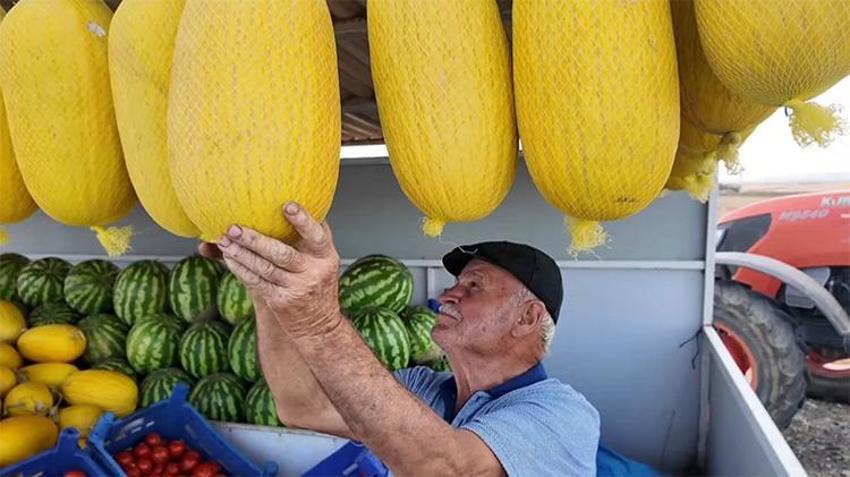 Sıfır sulama yapılıyor: Aroması susuzluğunda gizli! Bekledikçe güzelleşiyor, asıldıkça lezzetleniyor