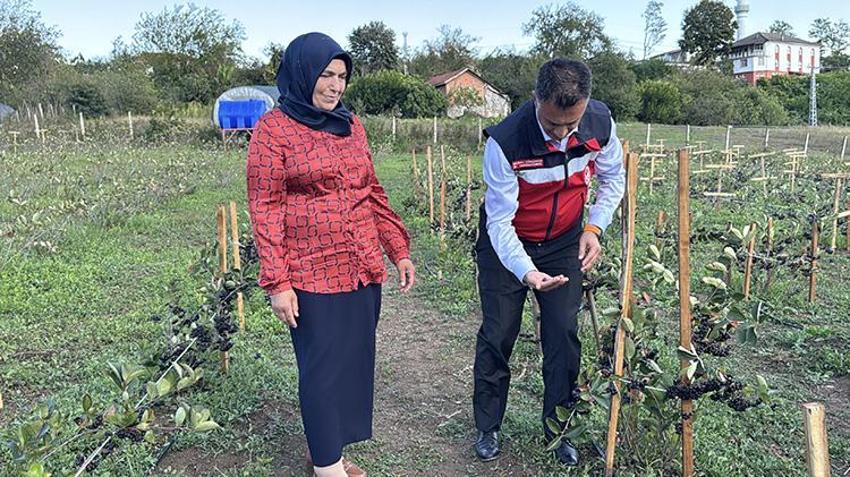 Oğlunun önerisiyle başladı, şimdi kazanç kapısına dönüştü! 1 ton ürün bekliyor