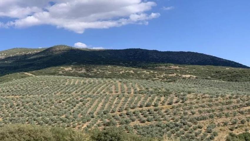 Manisa'da tarım için kaynağın farkına varıldı: Salihli'nin tamamında olacak