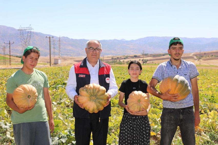Elazığ'da bal kabağı hasadı başladı! 2 bin 24 dekar alanda 4 bin 74 ton rekolte bekleniyor