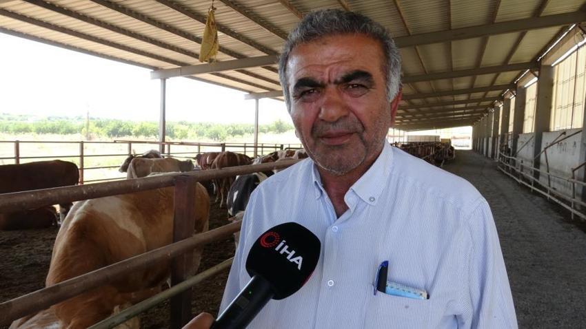 Malatya'da 5 dönümlük alanda binlerce üreticiye destek oluyor: 500 baş hayvanla ihtiyacın tamamı karşılanıyor