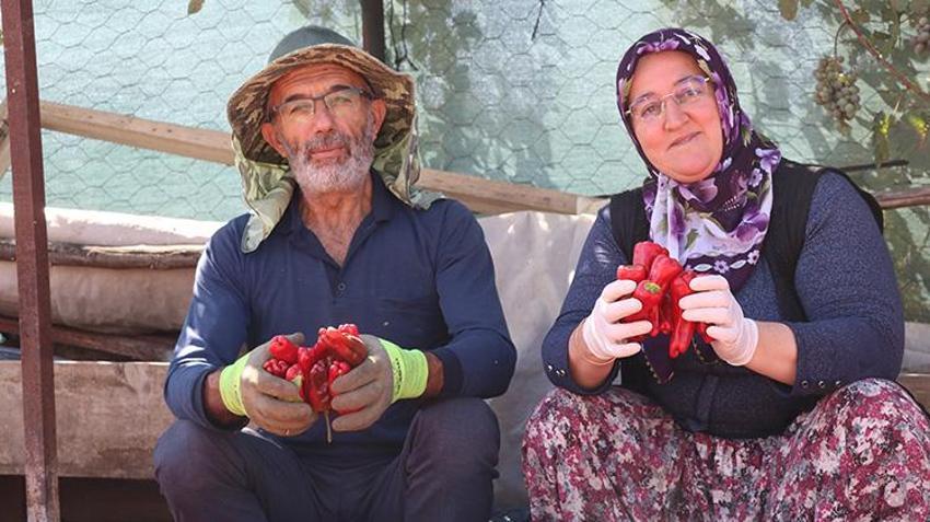 Kayseri'nin tescilli lezzeti çatılardan sokaklara geleneksel yöntemlerle kurutuluyor!