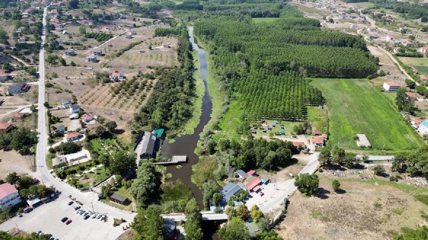 Dünyada ikinci, Türkiye’nin en büyük longozu stresten kaçıp doğayla baş başa kalmak isteyenlerin uğrak noktası oldu