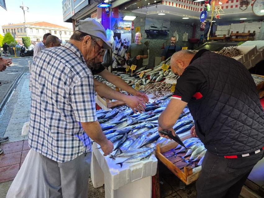 Karadeniz'de balık bolluğu sürüyor! Palamut bedavadan biraz daha pahalı: Tanesi 50 TL