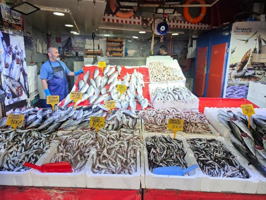 Karadeniz'de balık bolluğu sürüyor! Palamut bedavadan biraz daha pahalı: Tanesi 50 TL