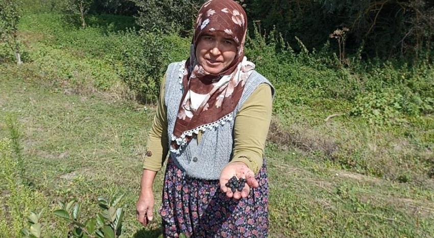Devlet desteğiyle kurdular! 2 yıl sonra ilk ürünlerini aldılar: Şimdi Türkiye'nin her yerinden talep yağıyor