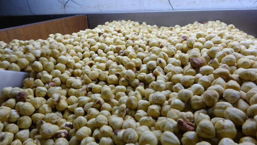 Üretici bu yönteme yöneldi! Tüccara satmayan karını yüzde 200'e çıkarıyor: Tesislere akın başladı