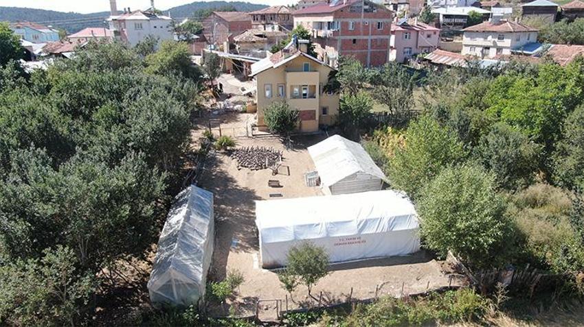Pandemide İstanbul'u terk edip memleketine döndü! Devrekani'yi üretim üssüne çevirdi, şimdi talebe yetişemiyor