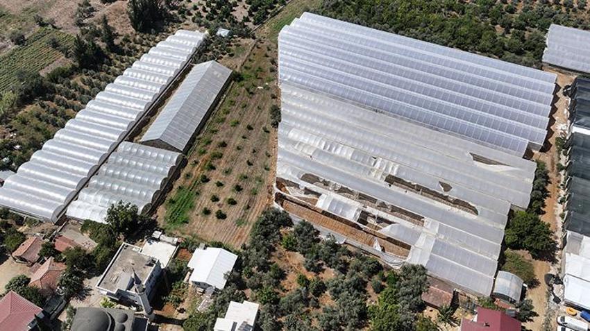Antalya’da seralarda büyük dönüşüm başlıyor! 200 bin dekar alan 6 yılda yenilenecek