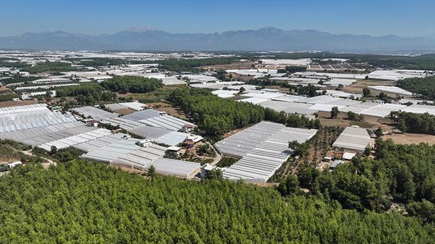 Antalya’da seralarda büyük dönüşüm başlıyor! 200 bin dekar alan 6 yılda yenilenecek