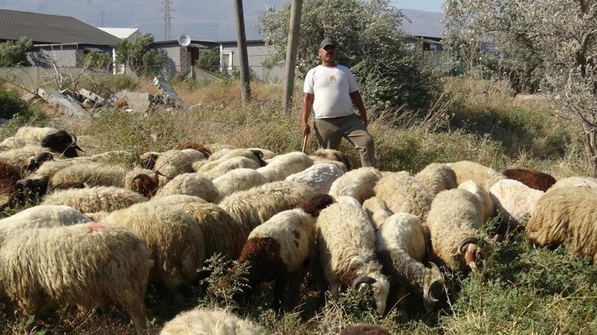 Aylık 80 bin TL'ye kabul etti: Günlük 10 litre su tüketiyor