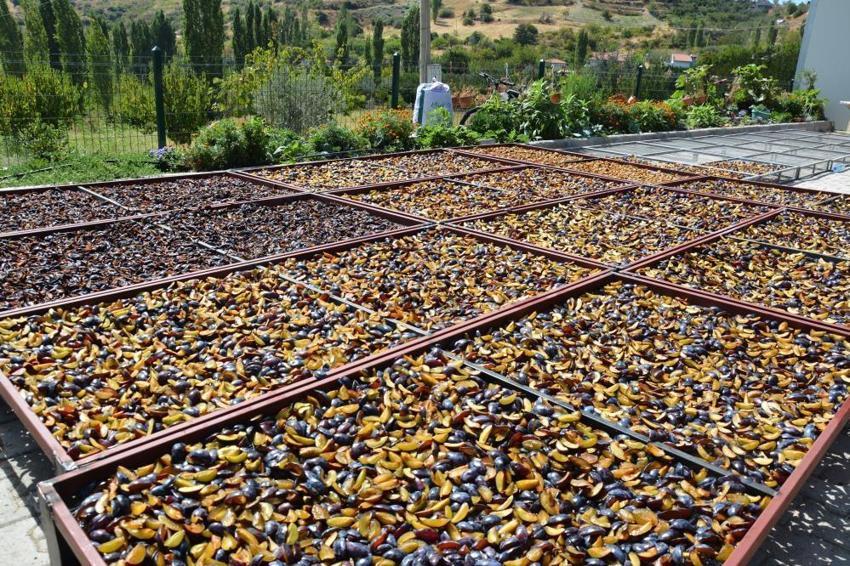 Tazesi zor taşınıyor! Kadınlar 4 günde kurutup dünyaya gönderiyor: 12 ay kapış kapış satılıyor
