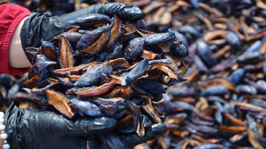 Tazesi zor taşınıyor! Kadınlar 4 günde kurutup dünyaya gönderiyor: 12 ay kapış kapış satılıyor