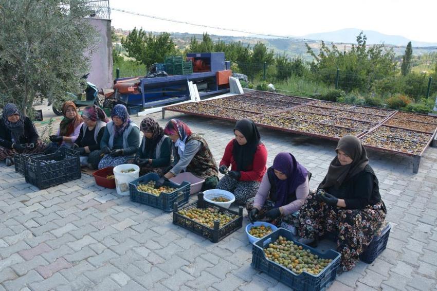 Tazesi zor taşınıyor! Kadınlar 4 günde kurutup dünyaya gönderiyor: 12 ay kapış kapış satılıyor