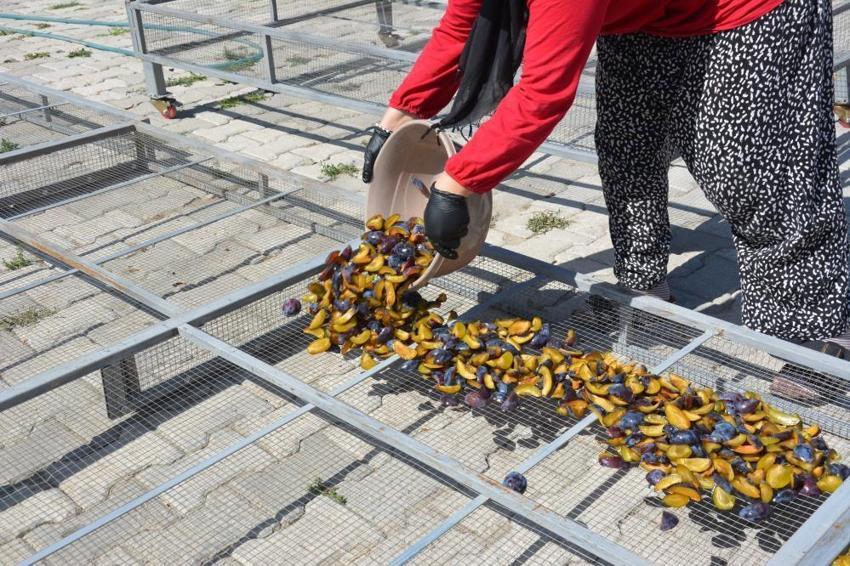 Tazesi zor taşınıyor! Kadınlar 4 günde kurutup dünyaya gönderiyor: 12 ay kapış kapış satılıyor