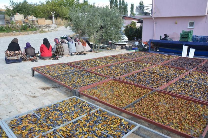 Tazesi zor taşınıyor! Kadınlar 4 günde kurutup dünyaya gönderiyor: 12 ay kapış kapış satılıyor