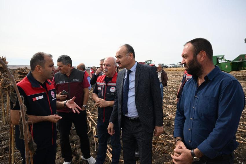 Edirne ayçiçeği üretiminde üçüncüsü! Kuraklığa dayanıklılığı ölçmek maksadıyla 3 farklı yöntemle ekilen ayçiçekleri hasat edildi