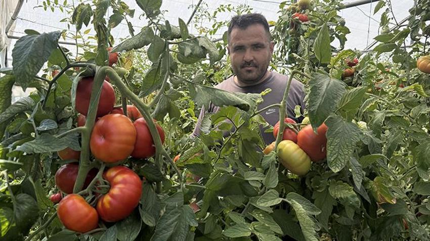 Baba mesleğini bırakıp köyüne döndü! Satışlar patladı: Bire bin veriyor, böyle kazandıran sektör yok