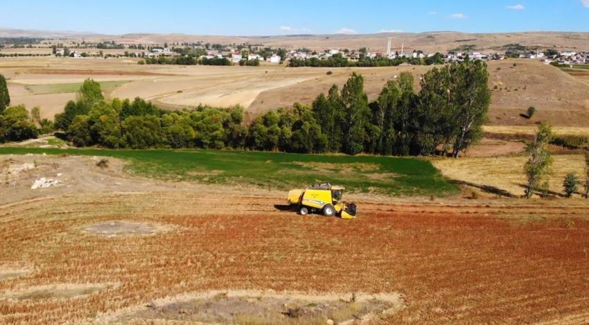 Alternatif ürün olarak ektiler, kazancı görünce vazgeçemediler! Bölgenin yeni gelir kapısı oldu