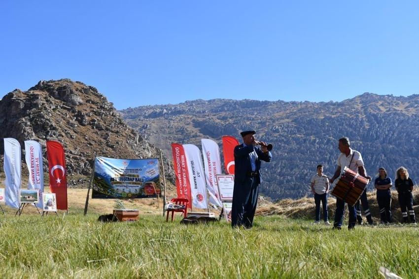 Şırnak'ın ilk festivali oldu: Kato Dağı'nda şenlik var