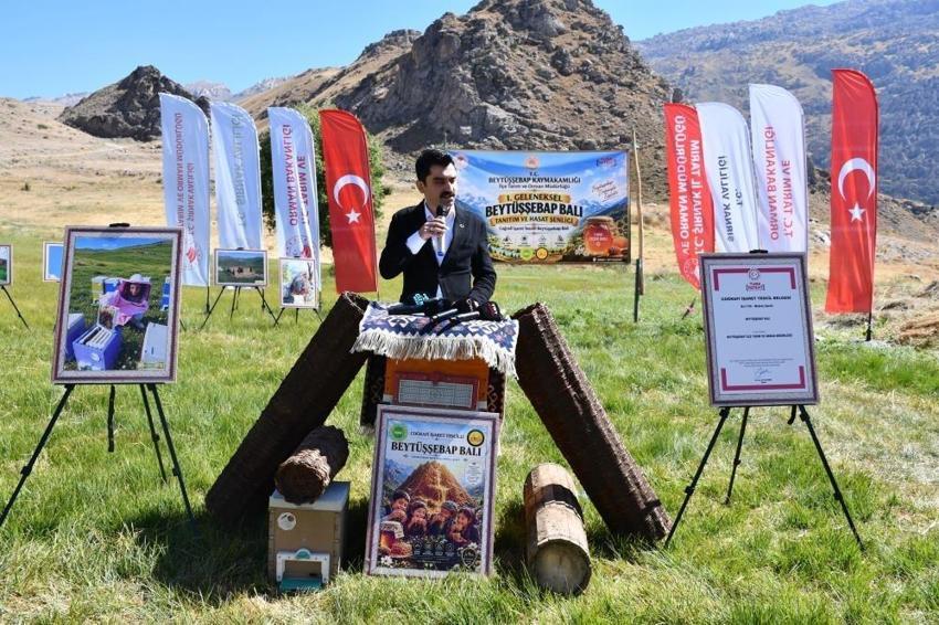 Şırnak'ın ilk festivali oldu: Kato Dağı'nda şenlik var